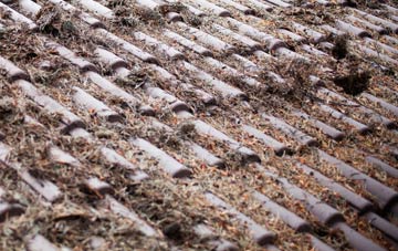 Merthyr Dyfan roof cleaning companies